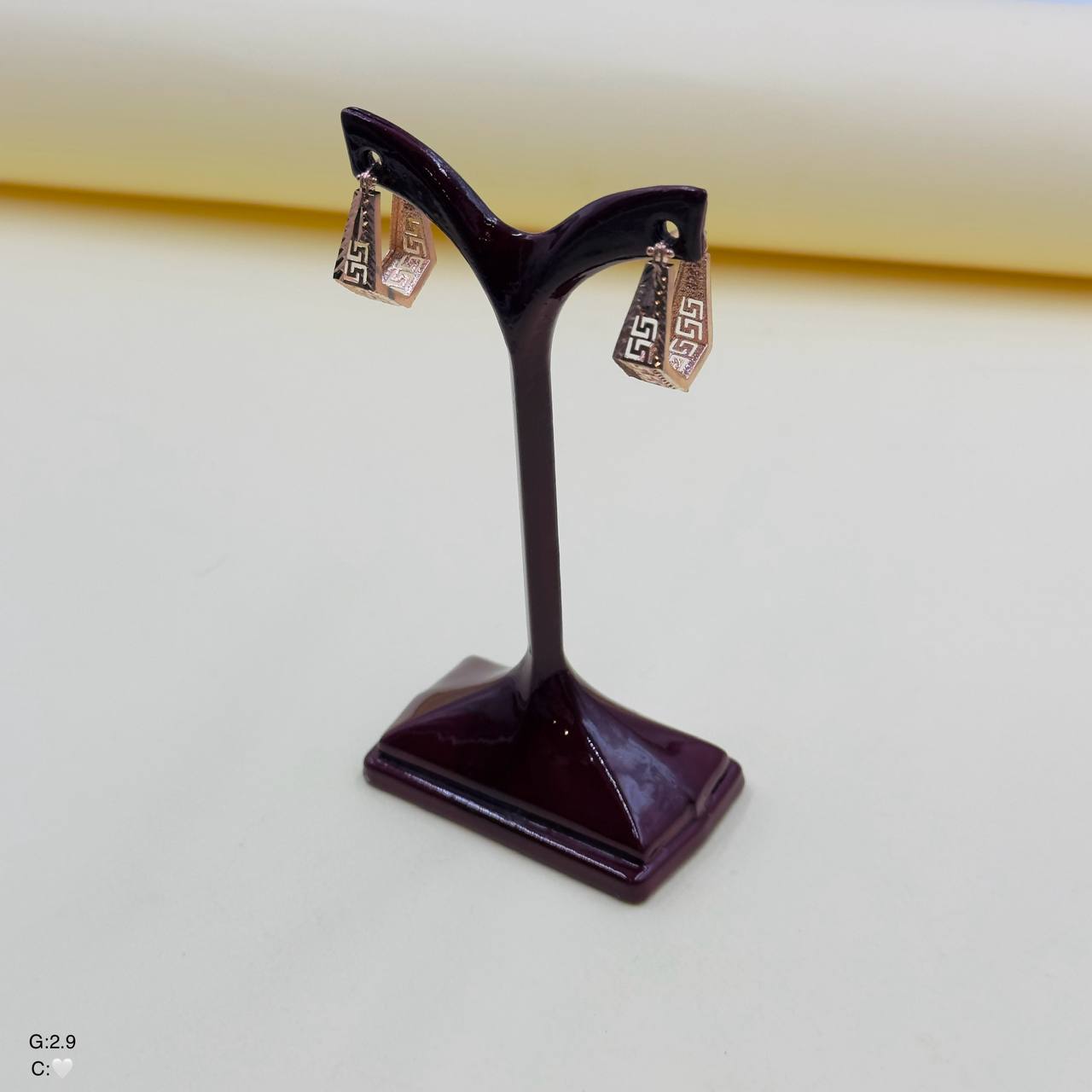 گوشواره نقره زنانه | حلقه ای | طرح ورساچه